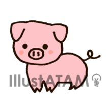 かわいい豚1
