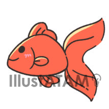 かわいい金魚5