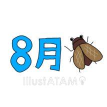 8月のカレンダー素材（セミ）