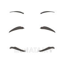 いろんな種類の眉毛