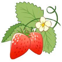 おしゃれないちご（2個・花付き）