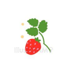 おしゃれないちご（花付き）