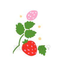 おしゃれないちご（赤色とピンク色）
