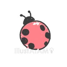 おしゃれなかわいいテントウムシ,かわいいテントウムシ,テントウムシ,昆虫のイラスト素材