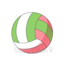 おしゃれなかわいいバレーボール