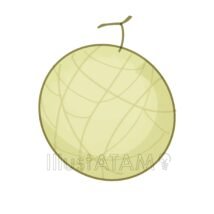 おしゃれなかわいいメロン