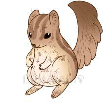 おしゃれなかわいいリス