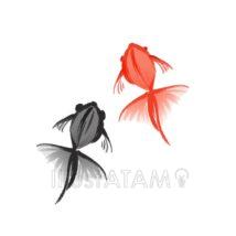 おしゃれなかわいい金魚（2色）