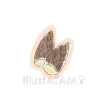 おしゃれなたけのこ