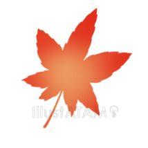 おしゃれなもみじ