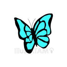 おしゃれなアゲハ蝶