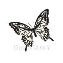 おしゃれなアゲハ蝶