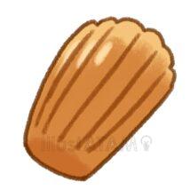 おしゃれなマドレーヌ（プレーン）