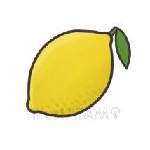 おしゃれなレモン（1個）