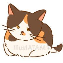 おしゃれな三毛猫（色違い）