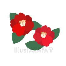 おしゃれな手書きの椿の花