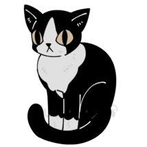 おしゃれな猫（ハチワレ）