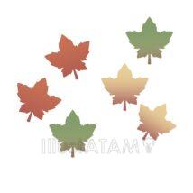 おしゃれな紅葉