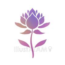 おしゃれな蓮の花（1本）