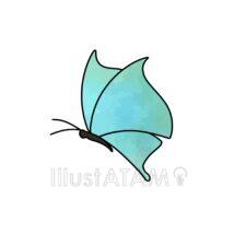 おしゃれな蝶々