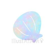 おしゃれな貝殻