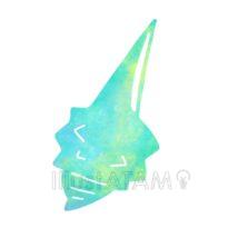 おしゃれな貝殻