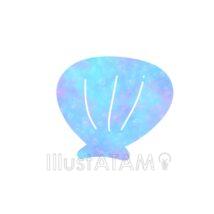 おしゃれな貝殻