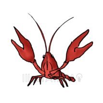 かっこいいザリガニ