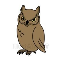 かっこいいフクロウ,かっこいい,フクロウ,鳥のイラスト素材