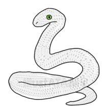 かっこいいリアルな白蛇