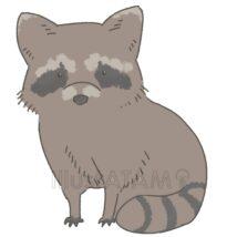 かわいいあらいぐま