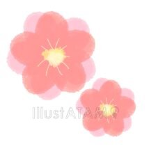 かわいいひな祭りの桃の花,ひな祭り,桃の花のイラスト素材