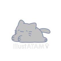 かわいいゆるい子猫（グレー猫）