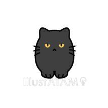 かわいいゆるい子猫（黒猫）