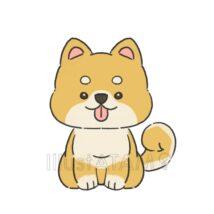 かわいいゆるい柴犬