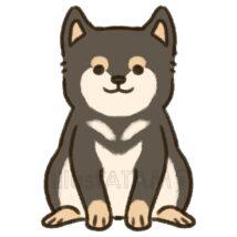 かわいいゆるい柴犬（お座り・黒色）