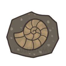 かわいいアンモナイトの化石