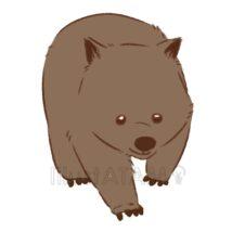 かわいいウォンバット
