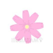 かわいいコスモス（濃）