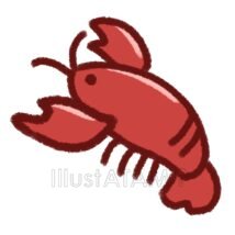 かわいいザリガニ