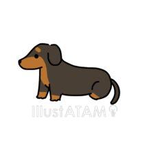 かわいいダックスフンド（茶色）