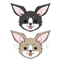 かわいいチワワ（2色）
