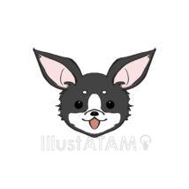 かわいいチワワ（黒色）