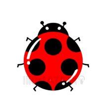 かわいいテントウムシ