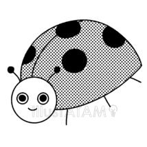 かわいいテントウムシ（白黒）