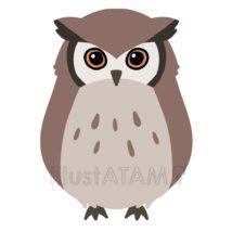 かわいいフクロウ