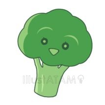 かわいいブロッコリー,かわいい,キャラクター,ブロッコリー,野菜のイラスト素材