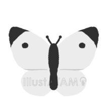 かわいいモンシロチョウ
