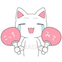 かわいいライブ
