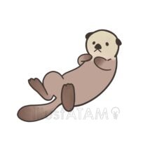 かわいいラッコ